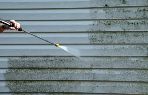 Best House Pressure Washing  in Riner, VA